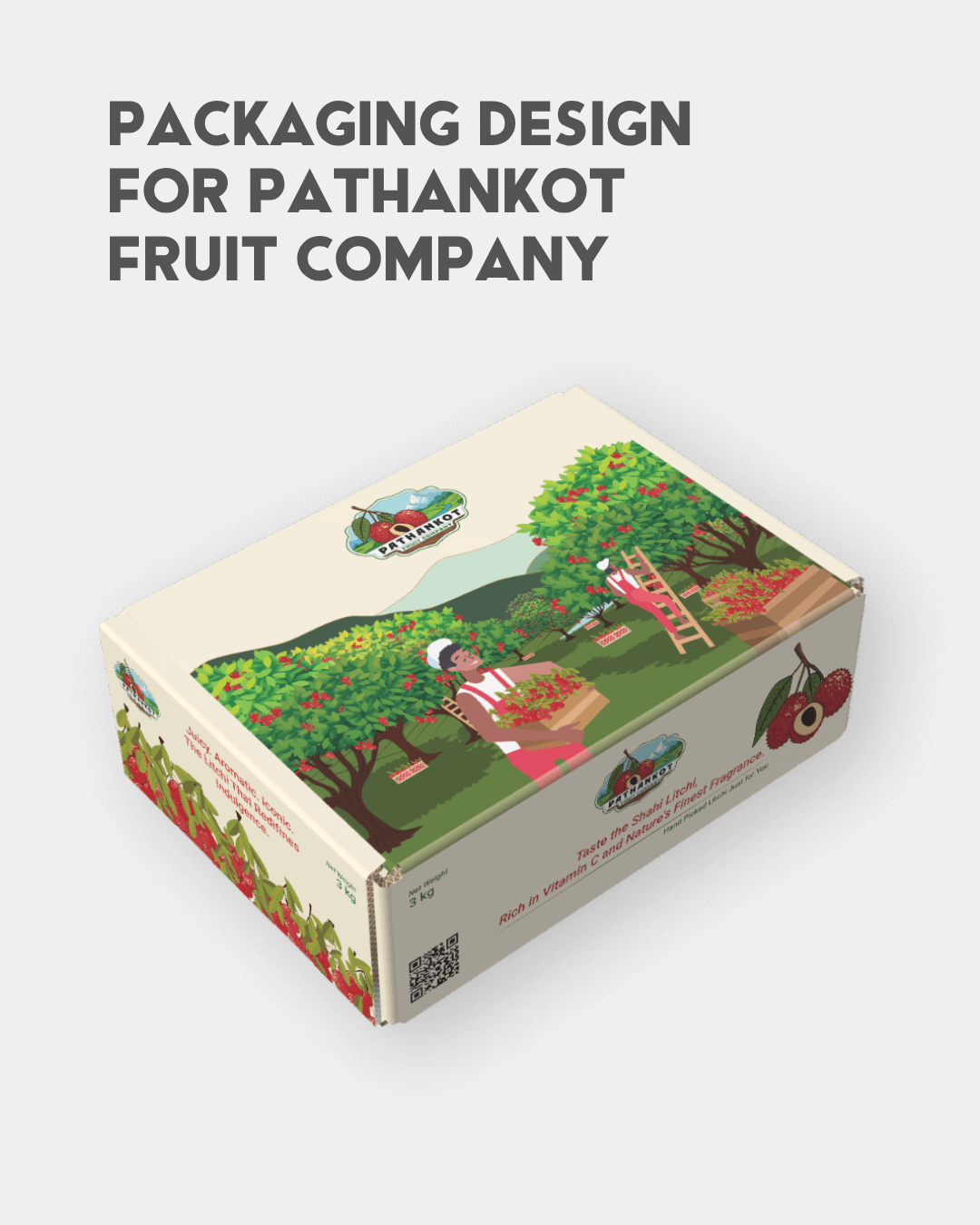 Packaging Design Pathankot Fruit Company by Akki Studios