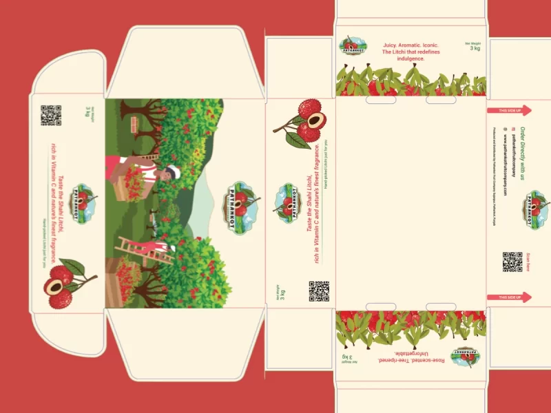 How Great Packaging Is Turning D2C Brands Into Premium Experiences