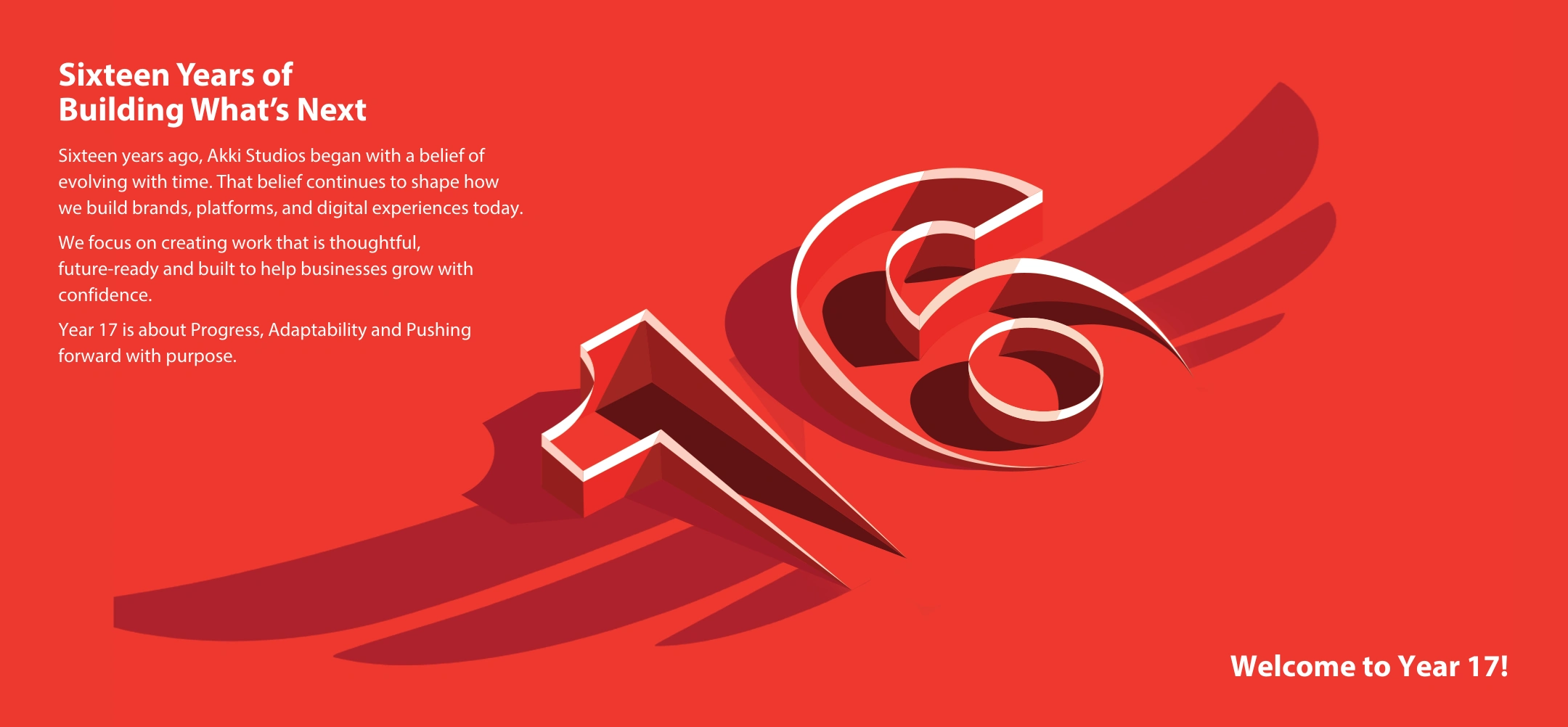 Akki Studios - Year 17! (3)